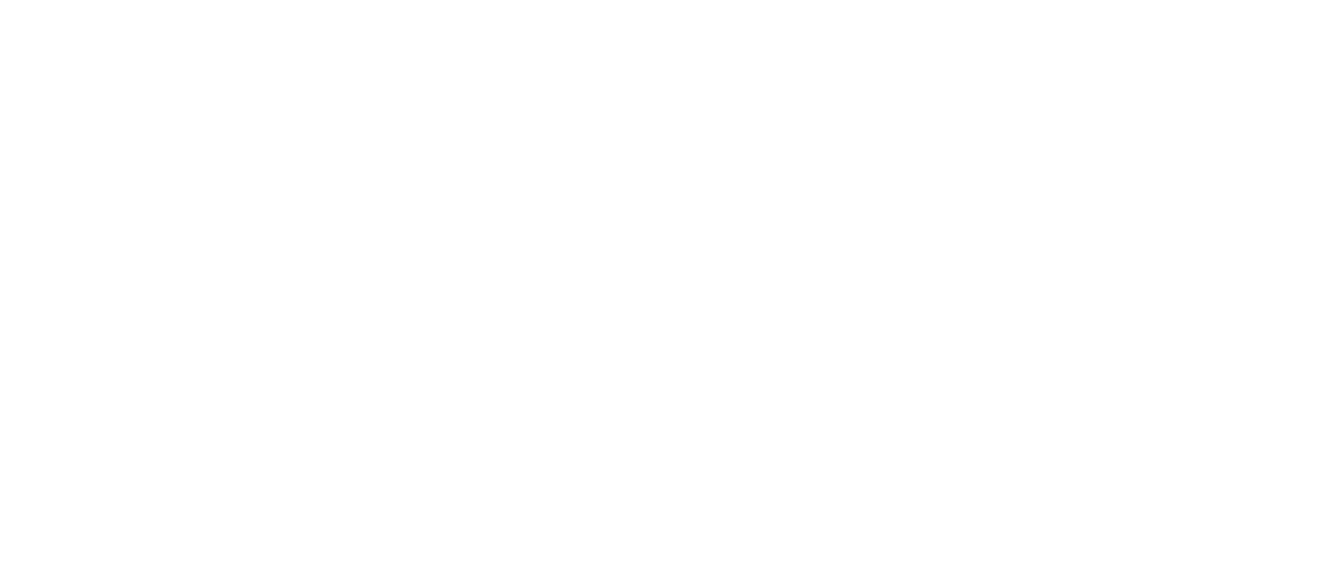 Curso Prius